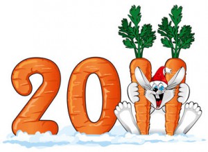 new_year2011